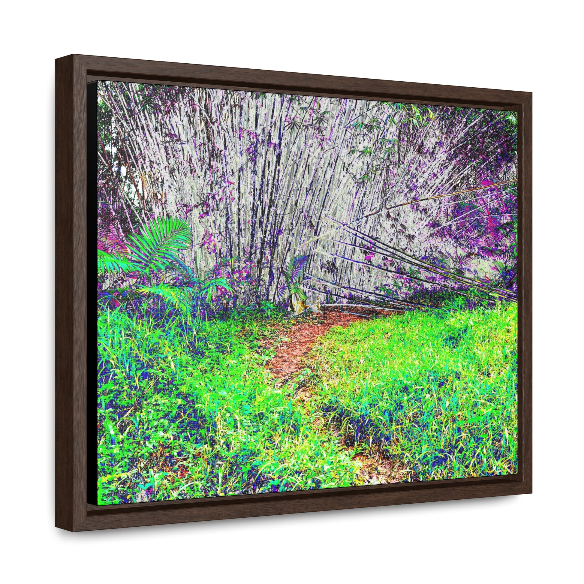 Rainforest Trails & Views - Gallery Canvas Wraps, Horizontal Frame - El Yunque National Forest - Puerto Rico - Path in camping zone near peaks - Color Enhanced - Green Forest Home