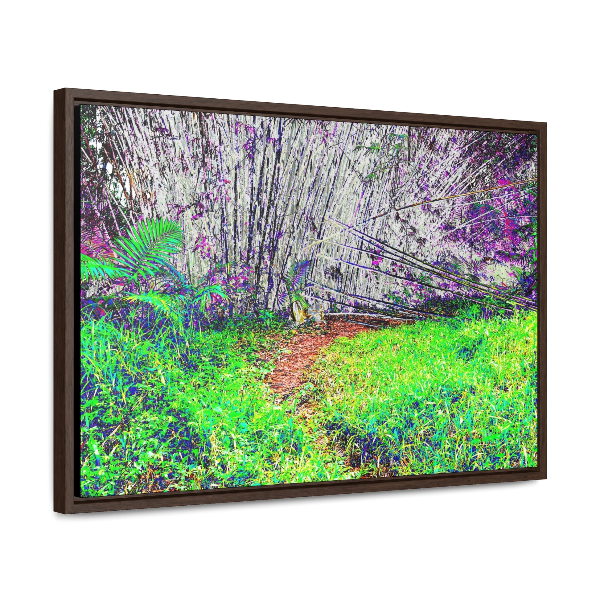 Rainforest Trails & Views - Gallery Canvas Wraps, Horizontal Frame - El Yunque National Forest - Puerto Rico - Path in camping zone near peaks - Color Enhanced - Green Forest Home