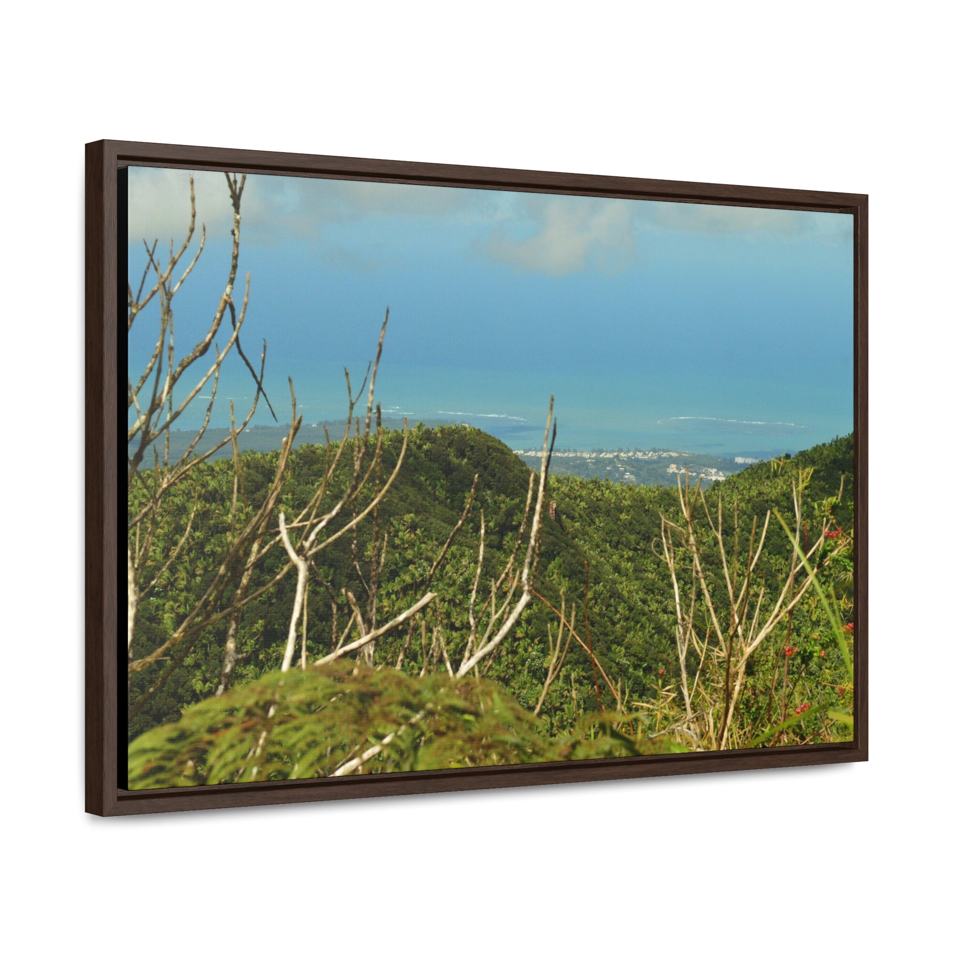 Rainforest Trails & Views - Gallery Canvas Wraps, Horizontal Frame - El Yunque National Forest - Puerto Rico - View from Tres Picachos - El Yunque Trail - Green Forest Home