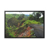 Rainforest Trails & Views - Gallery Canvas Wraps, Horizontal Frame - El Yunque National Forest - Puerto Rico - Closed PR191 road & landlside - Green Forest Home