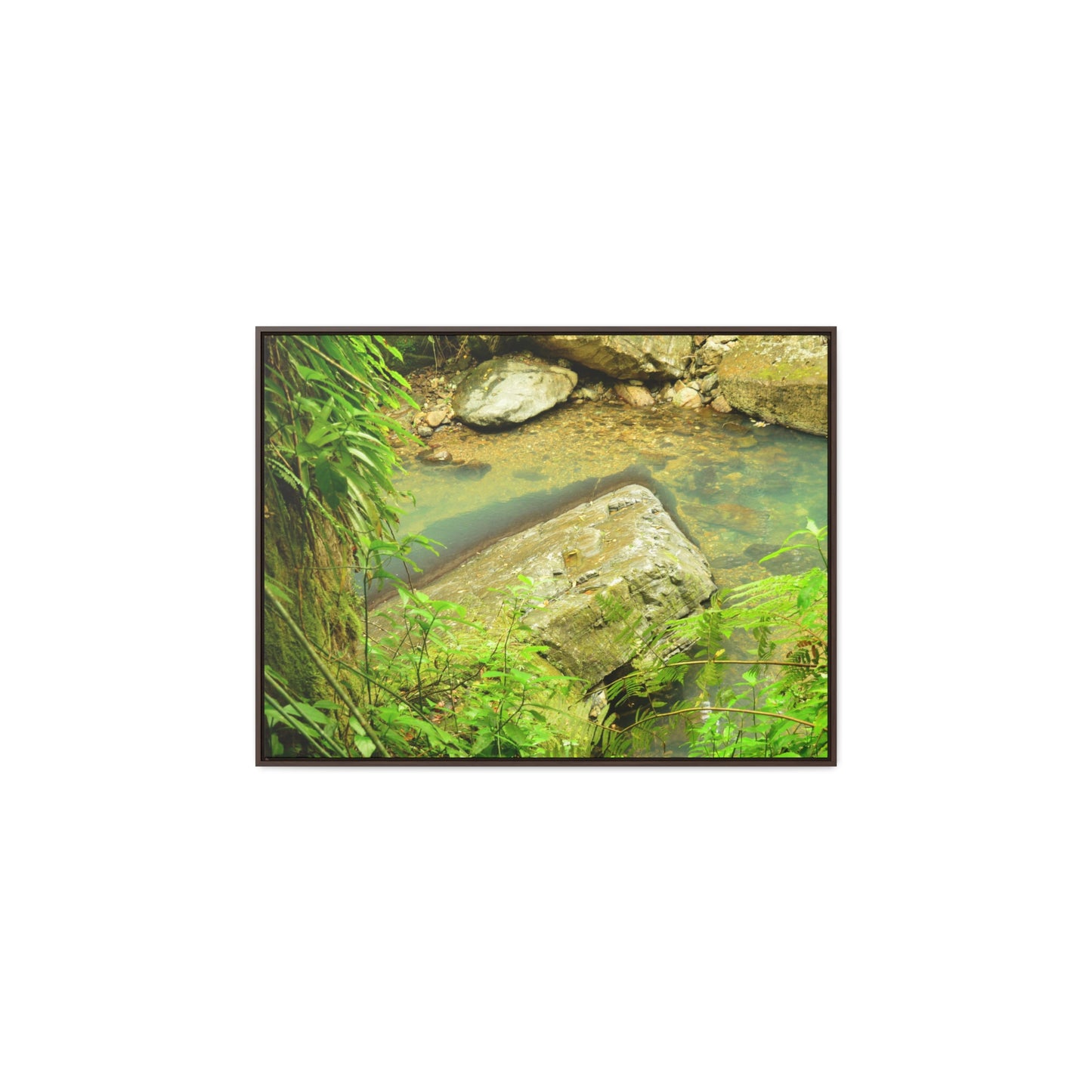 Rainforest Trails & Views - Gallery Canvas Wraps, Horizontal Frame - El Yunque National Forest - Puerto Rico - La Mina River & Trail - huge boulder - Green Forest Home