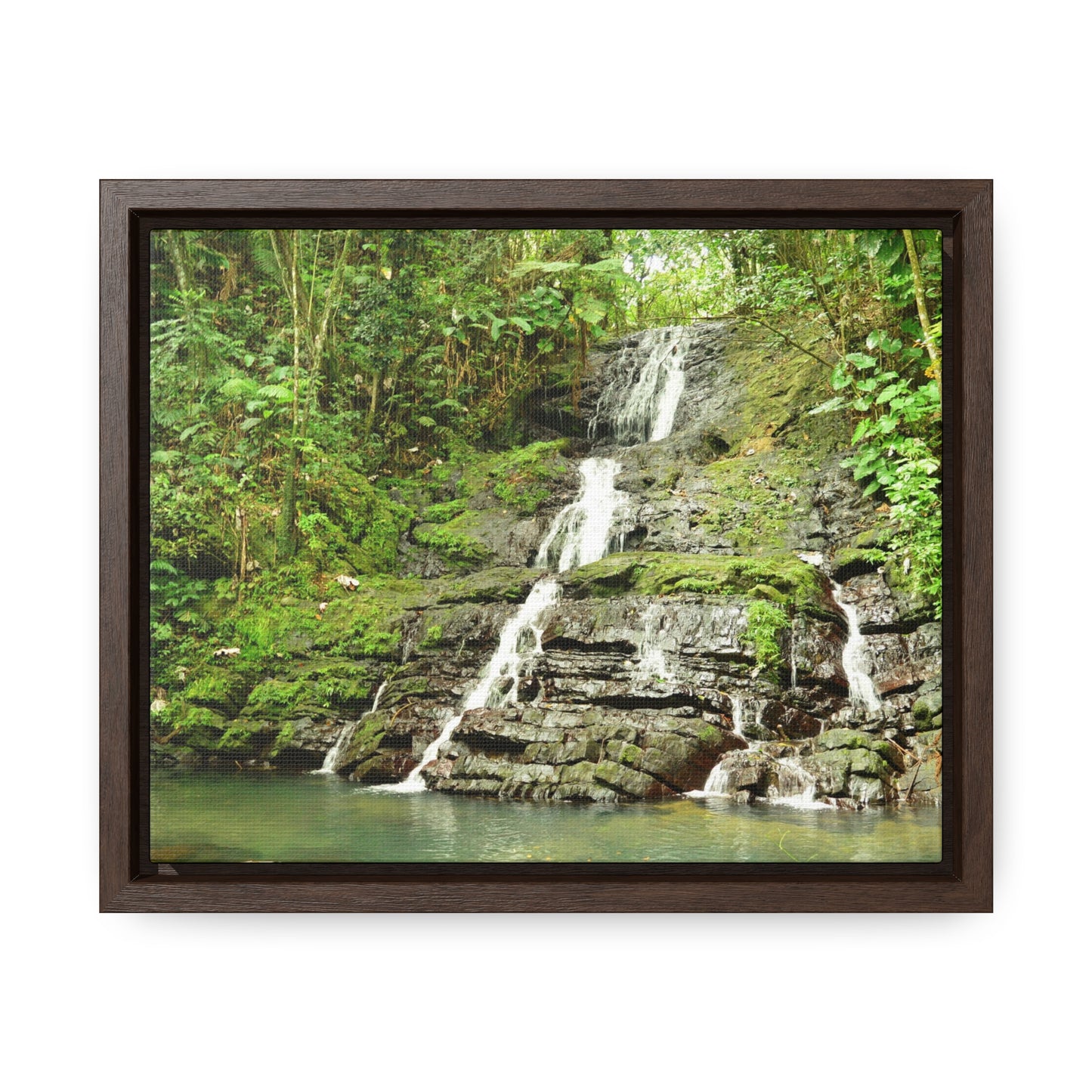 Rainforest Trails & Views - Gallery Canvas Wraps, Horizontal Frame - El Yunque National Forest - Puerto Rico - View from La Coca Trail - Green Forest Home