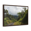 Rainforest Trails & Views - Gallery Canvas Wraps, Horizontal Frame - El Yunque National Forest - Puerto Rico - Closed PR191 forested road - Green Forest Home