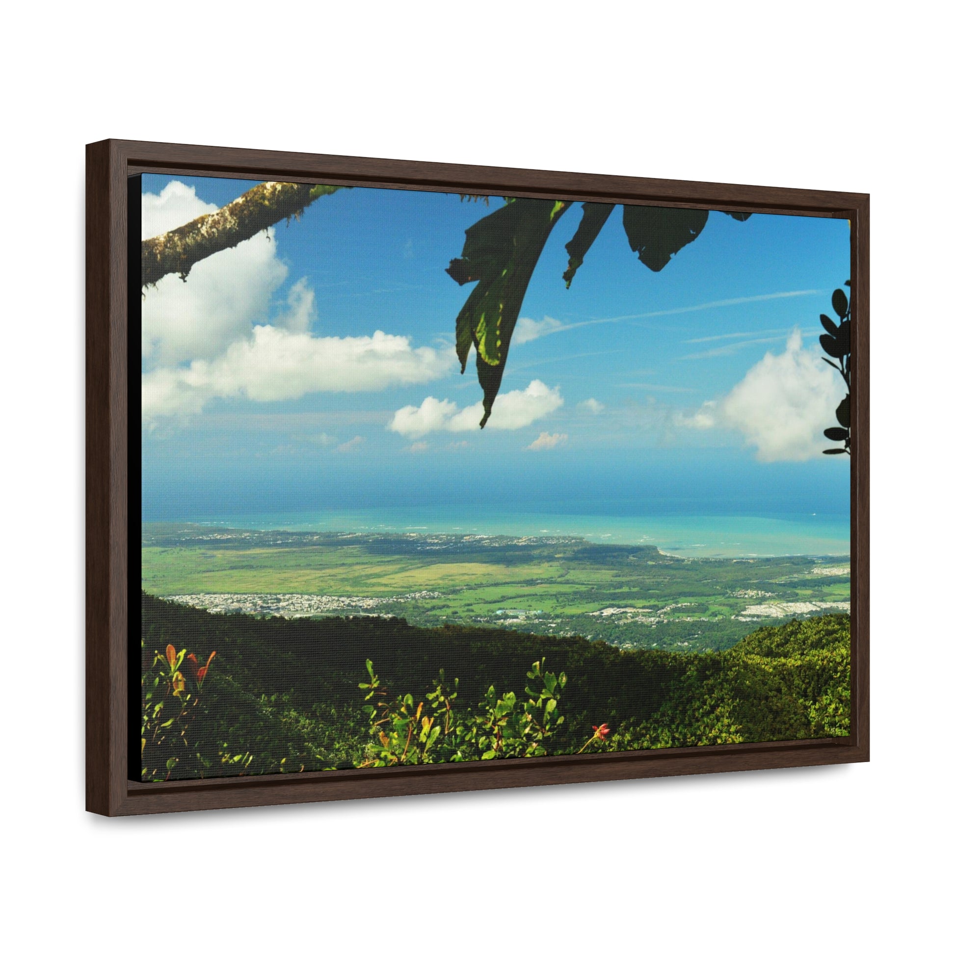 Rainforest Trails & Views - Gallery Canvas Wraps, Horizontal Frame - El Yunque National Forest - Puerto Rico - View from Tres Picachos - El Yunque Trail - Green Forest Home