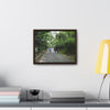 Rainforest Trails & Views - Gallery Canvas Wraps, Horizontal Frame - El Yunque National Forest - Puerto Rico - Campers in PR191 Rio Sabana