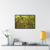 Rainforest Trails & Views - Gallery Canvas Wraps, Horizontal Frame - El Yunque National Forest - Puerto Rico - Deep forest explorations - reveal a boulder with 3 Sierra Palm red roots on it seeking the water level