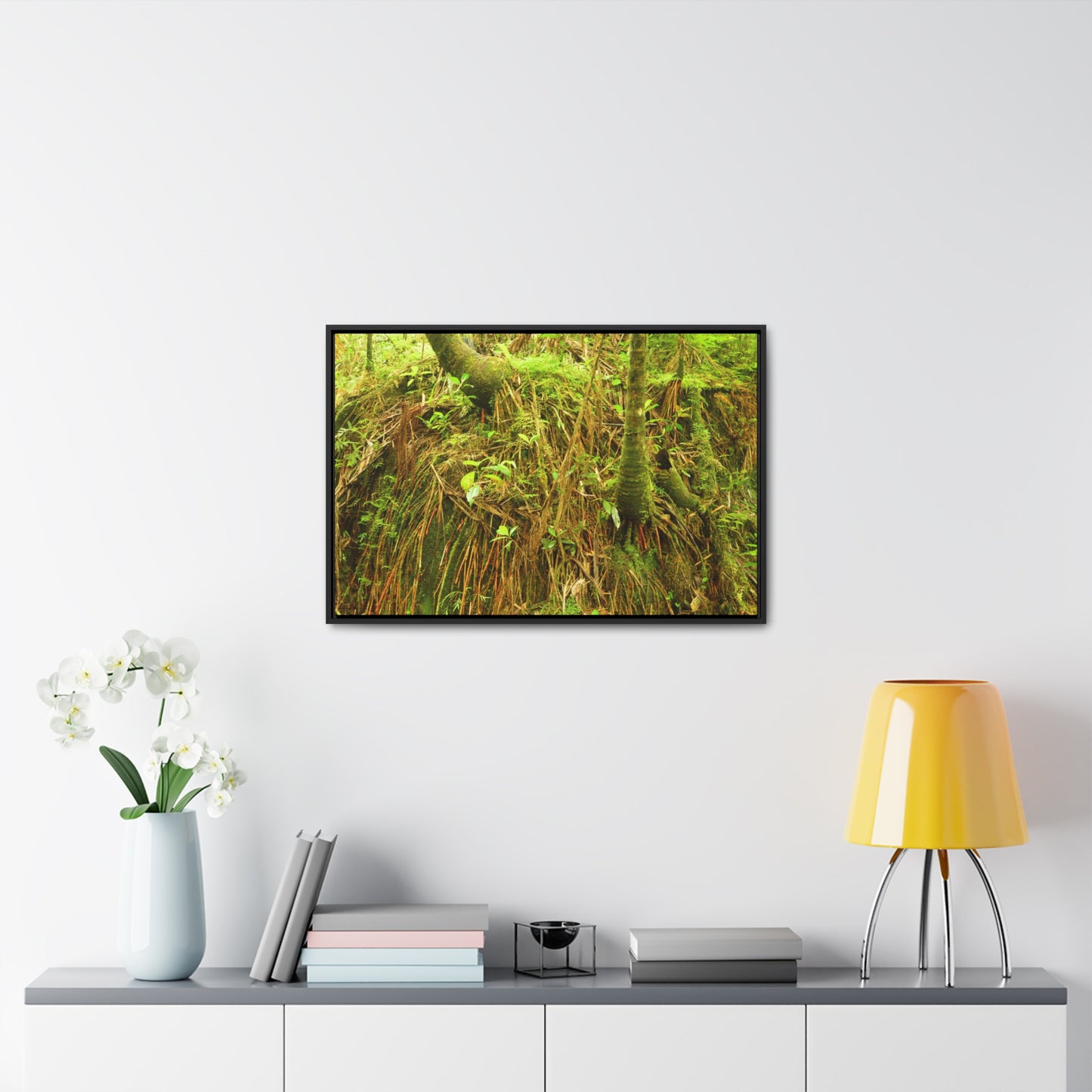 Rainforest Trails & Views - Gallery Canvas Wraps, Horizontal Frame - El Yunque National Forest - Puerto Rico - Deep forest explorations - reveal a boulder with 3 Sierra Palm red roots on it seeking the water level