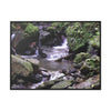 Rainforest Trails & Views - Gallery Canvas Wraps, Horizontal Frame - El Yunque National Forest - Puerto Rico - Juan Diego Trail & River - Green Forest Home