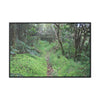 Rainforest Trails & Views - Gallery Canvas Wraps, Horizontal Frame - El Yunque National Forest - Tradewinds trail - cloud forest - Green Forest Home