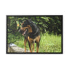 Rainforest Trails & Views - Gallery Canvas Wraps, Horizontal Frame - El Yunque National Forest - Puerto Rico - Rio Sabana Cubuy River - Firo the dog explorer - Green Forest Home