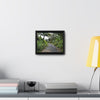 Rainforest Trails & Views - Gallery Canvas Wraps, Horizontal Frame - El Yunque National Forest - Puerto Rico - PR191 Closed forest road - Green Forest Home