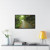 Rainforest Trails & Views - Gallery Canvas Wraps, Horizontal Frame - El Yunque National Forest - Puerto Rico - The winding El Yunque main road PR 191 near the top