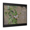 Rainforest Trails & Views - Gallery Canvas Wraps, Horizontal Frame - El Yunque National Forest - Puerto Rico - Rio Sabana Park Butterfly - Green Forest Home