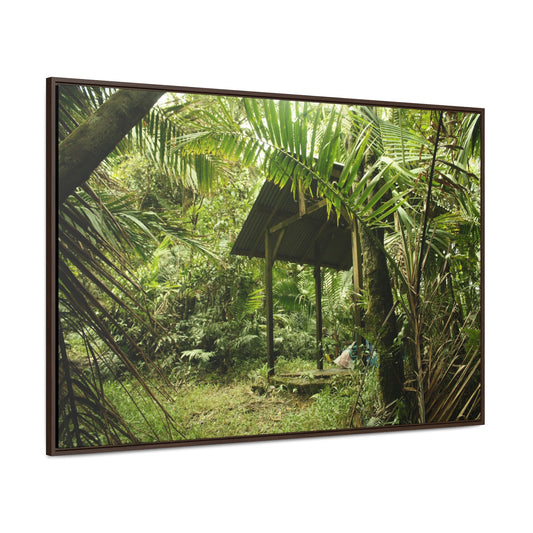 Rainforest Trails & Views - Gallery Canvas Wraps, Horizontal Frame - El Yunque National Forest - Puerto Rico - Tradewinds Trail shelter - Green Forest Home