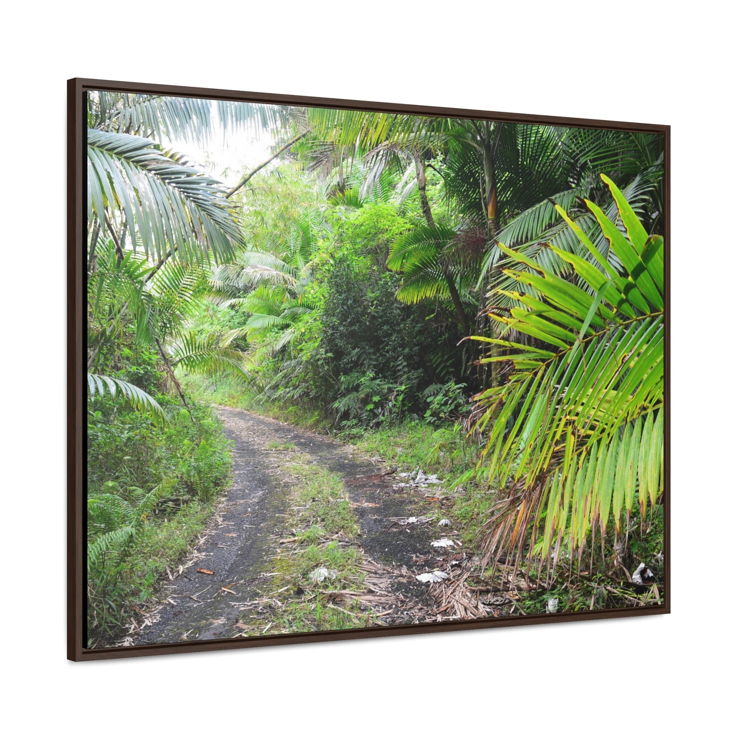 Rainforest Trails & Views - Gallery Canvas Wraps, Horizontal Frame - El Yunque National Forest - Puerto Rico - Closed PR191 road & landlside - Green Forest Home