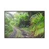 Rainforest Trails & Views - Gallery Canvas Wraps, Horizontal Frame - El Yunque National Forest - Puerto Rico - Closed PR191 road & landlside - Green Forest Home