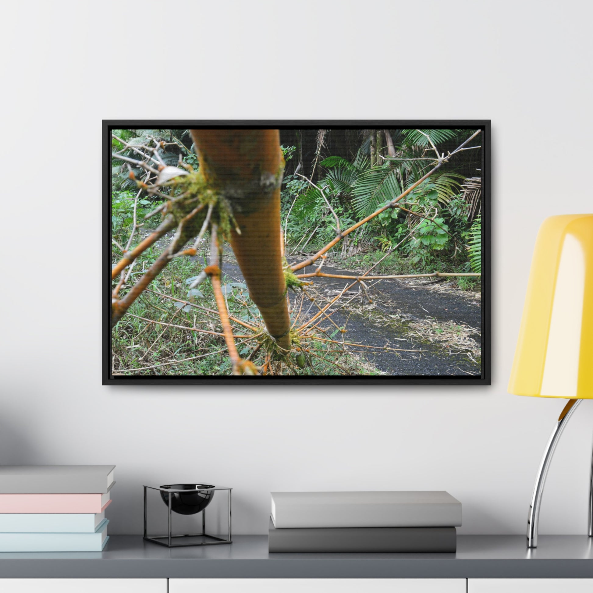 Rainforest Trails & Views - Gallery Canvas Wraps, Horizontal Frame - El Yunque National Forest - Puerto Rico - PR191 Closed forest road with fallend bamboo - Green Forest Home