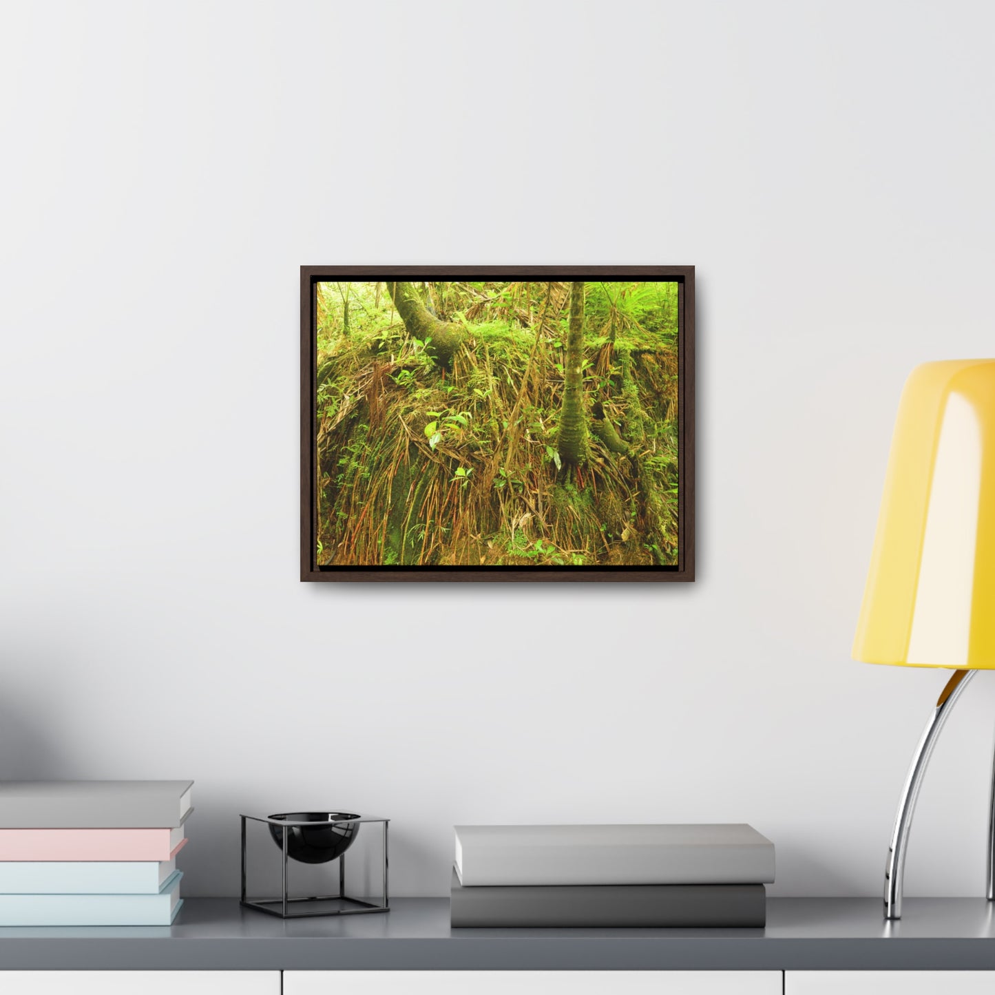 Rainforest Trails & Views - Gallery Canvas Wraps, Horizontal Frame - El Yunque National Forest - Puerto Rico - Deep forest explorations - reveal a boulder with 3 Sierra Palm red roots on it seeking the water level