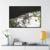 Rainforest Trails & Views - Gallery Canvas Wraps, Horizontal Frame - El Yunque National Forest - Puerto Rico - Lizard in readyness - Green Forest Home