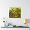 Rainforest Trails & Views - Gallery Canvas Wraps, Horizontal Frame - El Yunque National Forest - Puerto Rico - Deep forest explorations - reveal a boulder with 3 Sierra Palm red roots on it seeking the water level