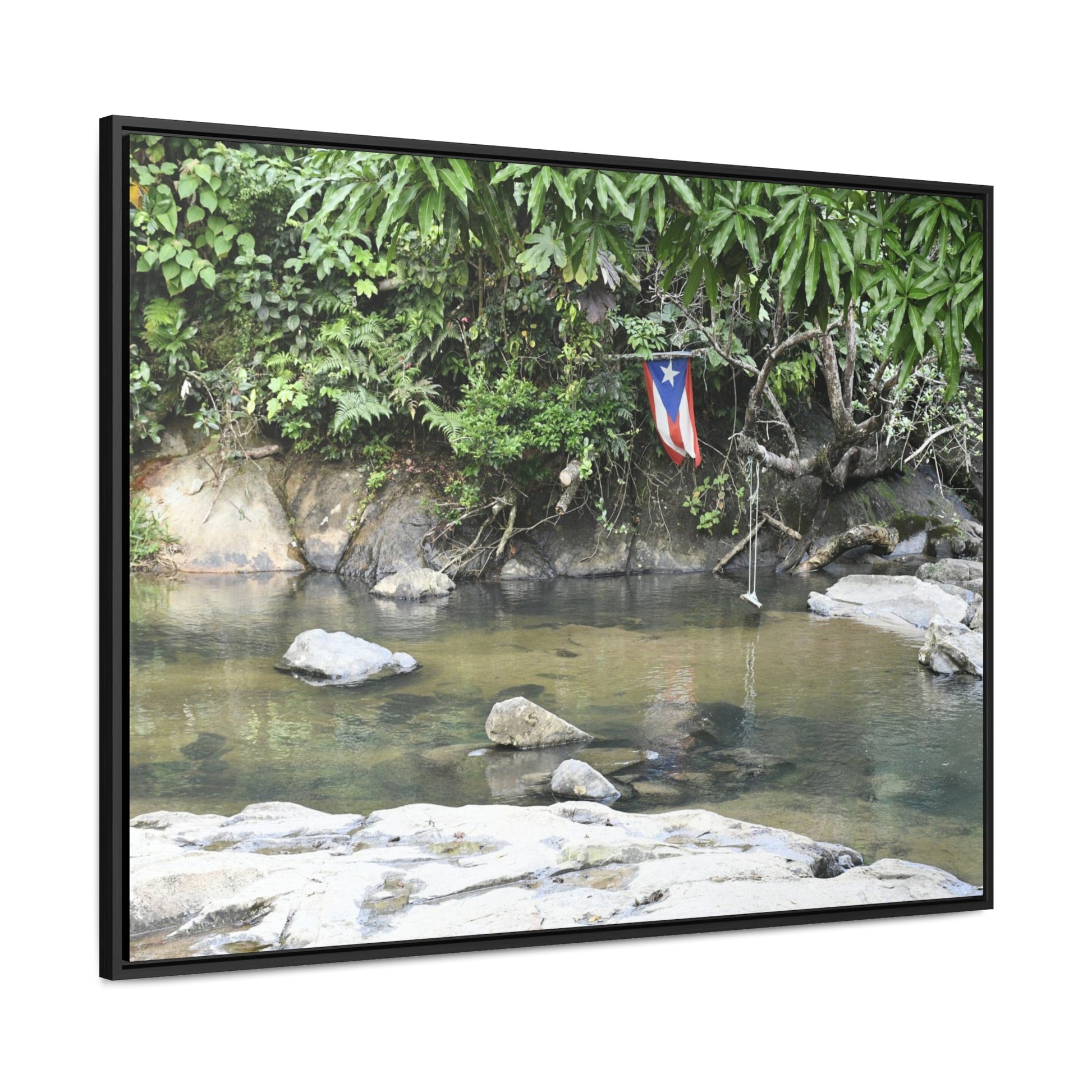 Rainforest Trails & Views - Gallery Canvas Wraps, Horizontal Frame - El Yunque National Forest - Rio Sabana Park and pond - Green Forest Home