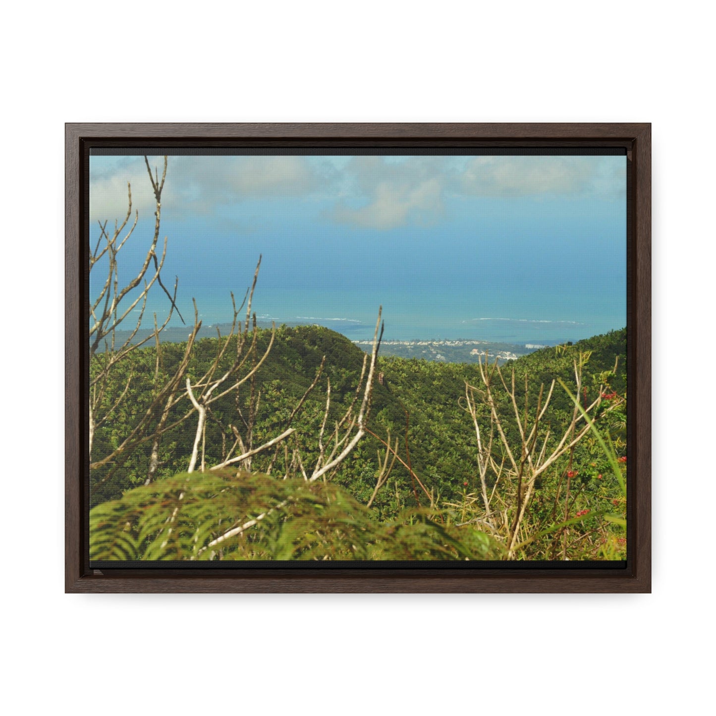 Rainforest Trails & Views - Gallery Canvas Wraps, Horizontal Frame - El Yunque National Forest - Puerto Rico - View from Tres Picachos - El Yunque Trail - Green Forest Home