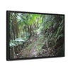 Rainforest Trails & Views - Gallery Canvas Wraps, Horizontal Frame - El Yunque National Forest - Puerto Rico - Early Tradewinds trail - Green Forest Home