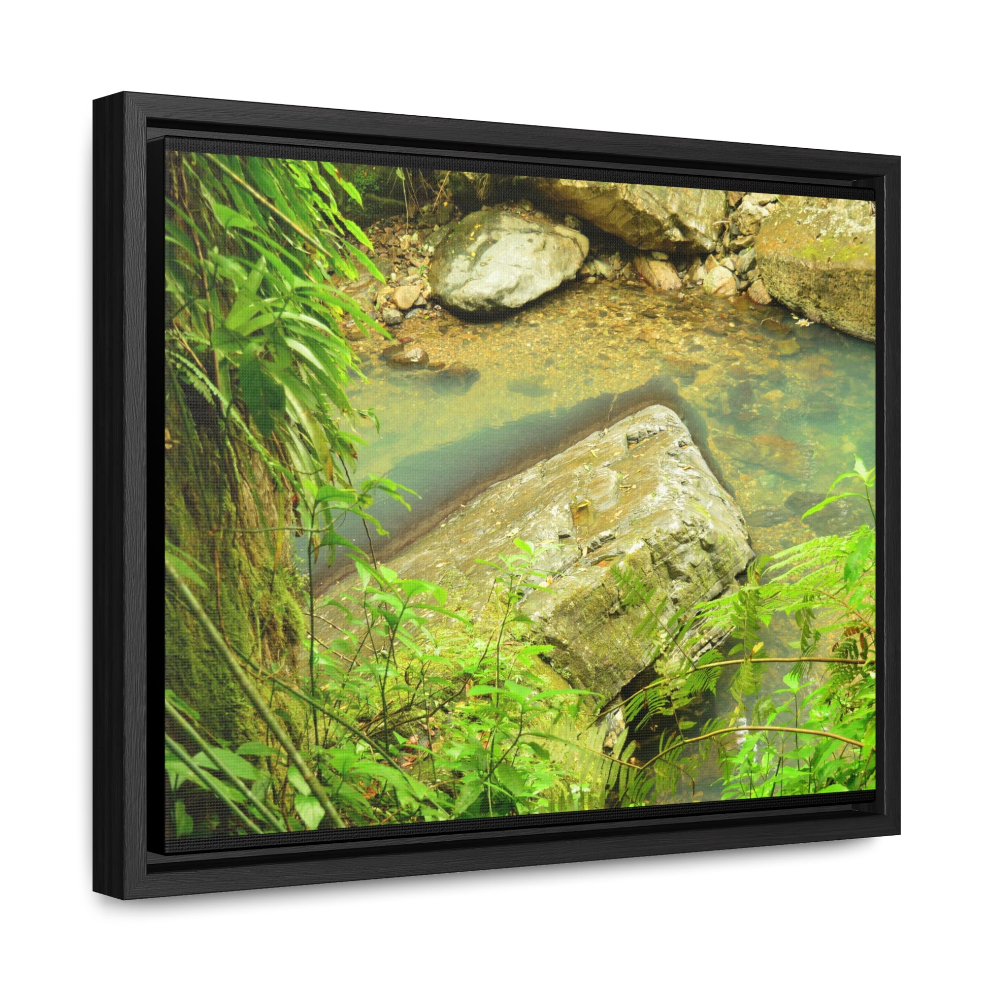 Rainforest Trails & Views - Gallery Canvas Wraps, Horizontal Frame - El Yunque National Forest - Puerto Rico - La Mina River & Trail - huge boulder - Green Forest Home