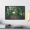 Rainforest Trails & Views - Gallery Canvas Wraps, Horizontal Frame - El Yunque National Forest - Puerto Rico - Tradewinds trail - cloud forest - Green Forest Home