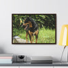 Rainforest Trails & Views - Gallery Canvas Wraps, Horizontal Frame - El Yunque National Forest - Puerto Rico - Rio Sabana Cubuy River - Firo the dog explorer