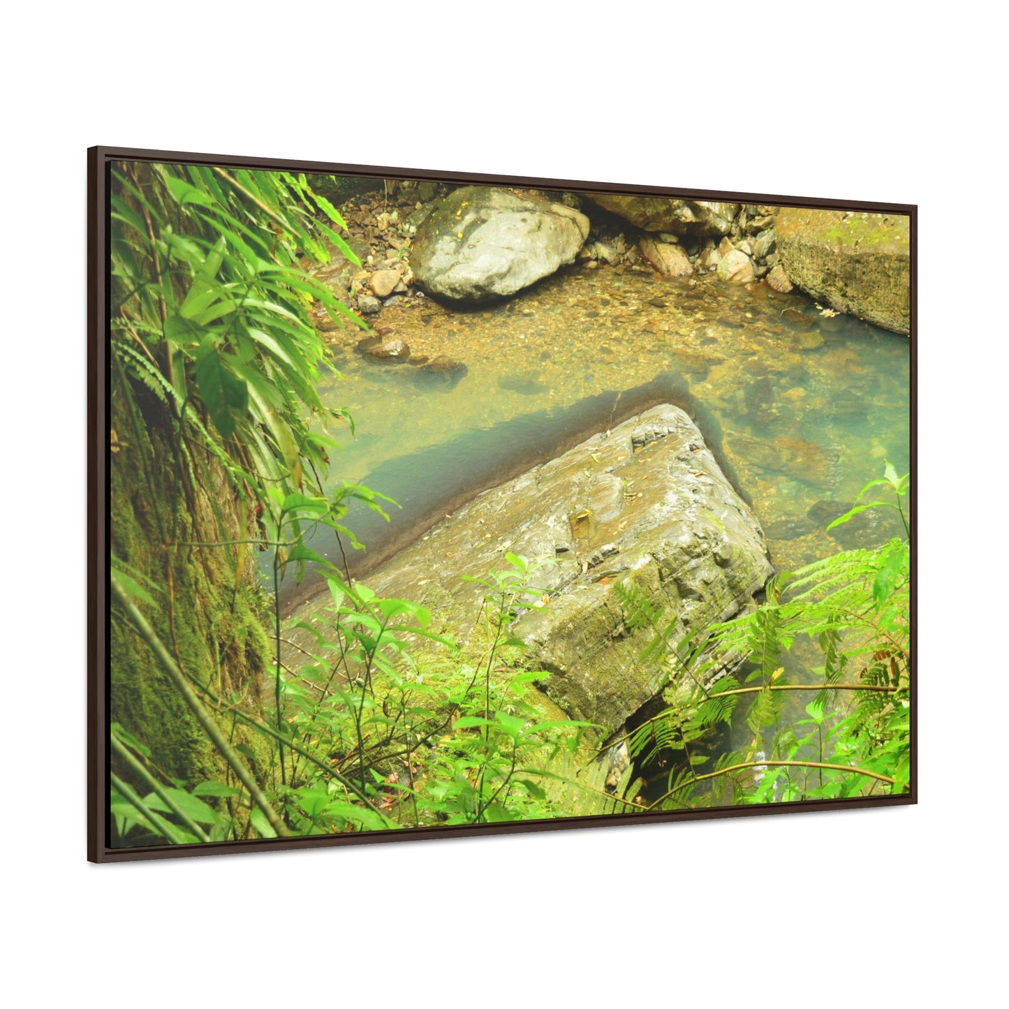 Rainforest Trails & Views - Gallery Canvas Wraps, Horizontal Frame - El Yunque National Forest - Puerto Rico - La Mina River & Trail - huge boulder - Green Forest Home