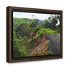 Rainforest Trails & Views - Gallery Canvas Wraps, Horizontal Frame - El Yunque National Forest - Puerto Rico - Closed PR191 road & landlside - Green Forest Home