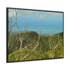 Rainforest Trails & Views - Gallery Canvas Wraps, Horizontal Frame - El Yunque National Forest - Puerto Rico - View from Tres Picachos - El Yunque Trail - Green Forest Home