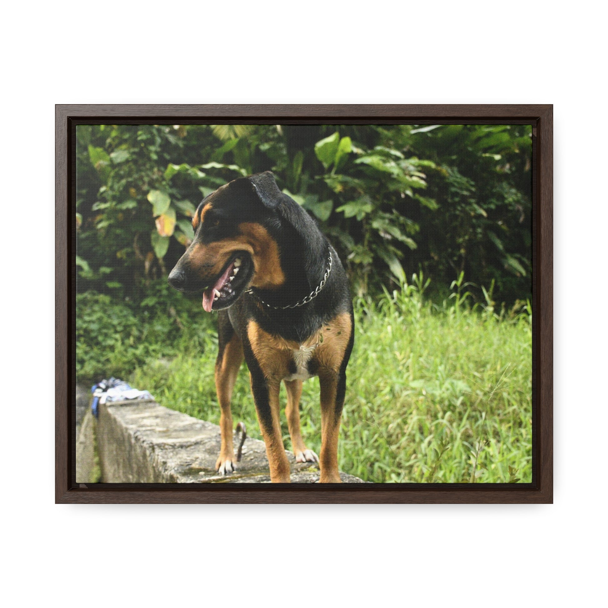 Rainforest Trails & Views - Gallery Canvas Wraps, Horizontal Frame - El Yunque National Forest - Puerto Rico - Rio Sabana Cubuy River - Firo the dog explorer - Green Forest Home