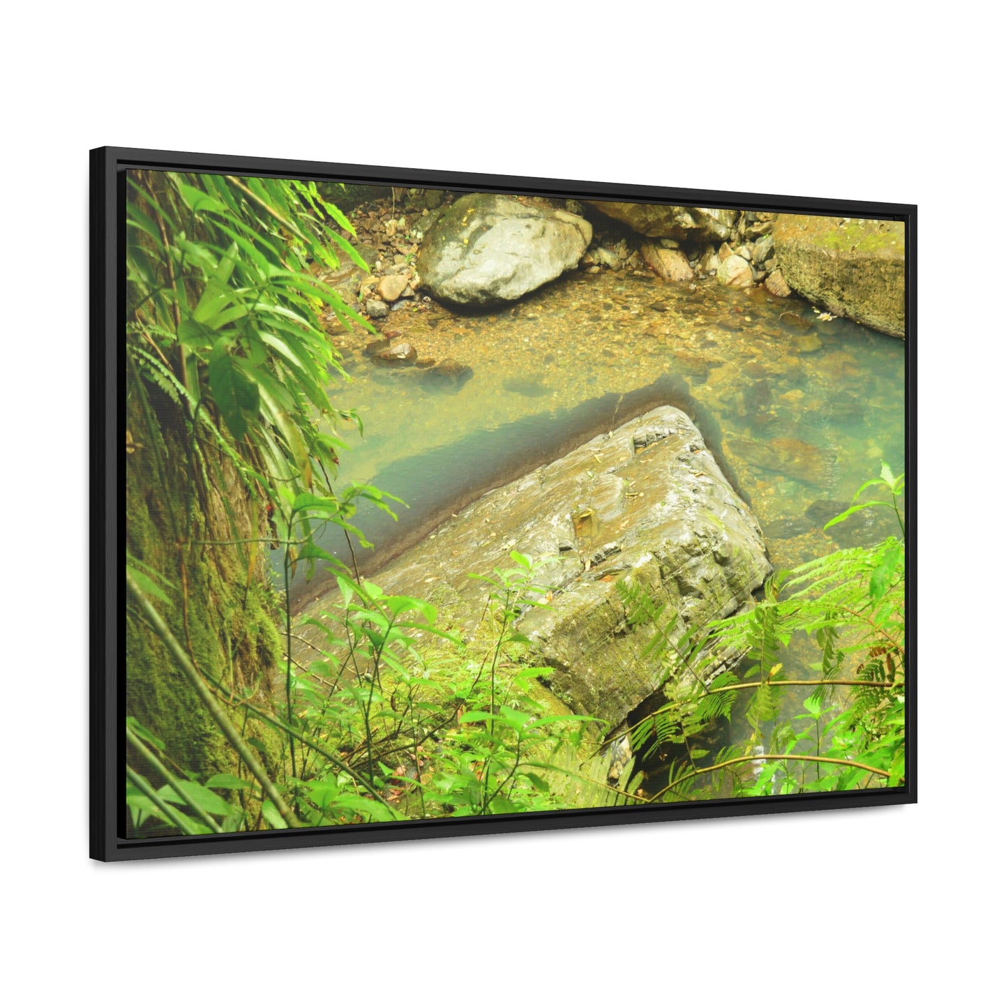 Rainforest Trails & Views - Gallery Canvas Wraps, Horizontal Frame - El Yunque National Forest - Puerto Rico - La Mina River & Trail - huge boulder - Green Forest Home