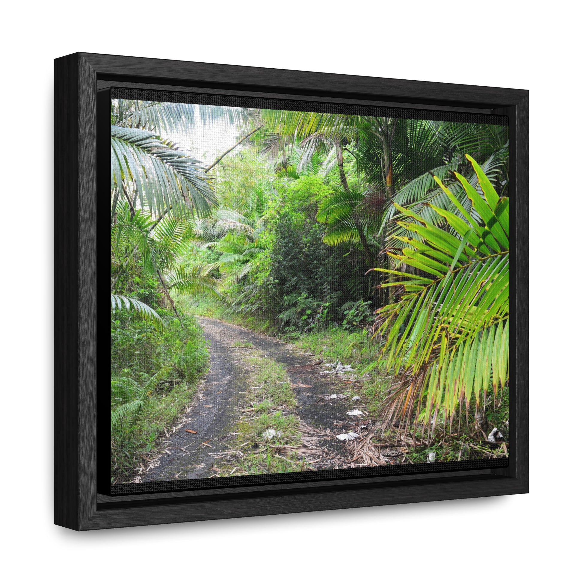 Rainforest Trails & Views - Gallery Canvas Wraps, Horizontal Frame - El Yunque National Forest - Puerto Rico - Closed PR191 road & landlside - Green Forest Home