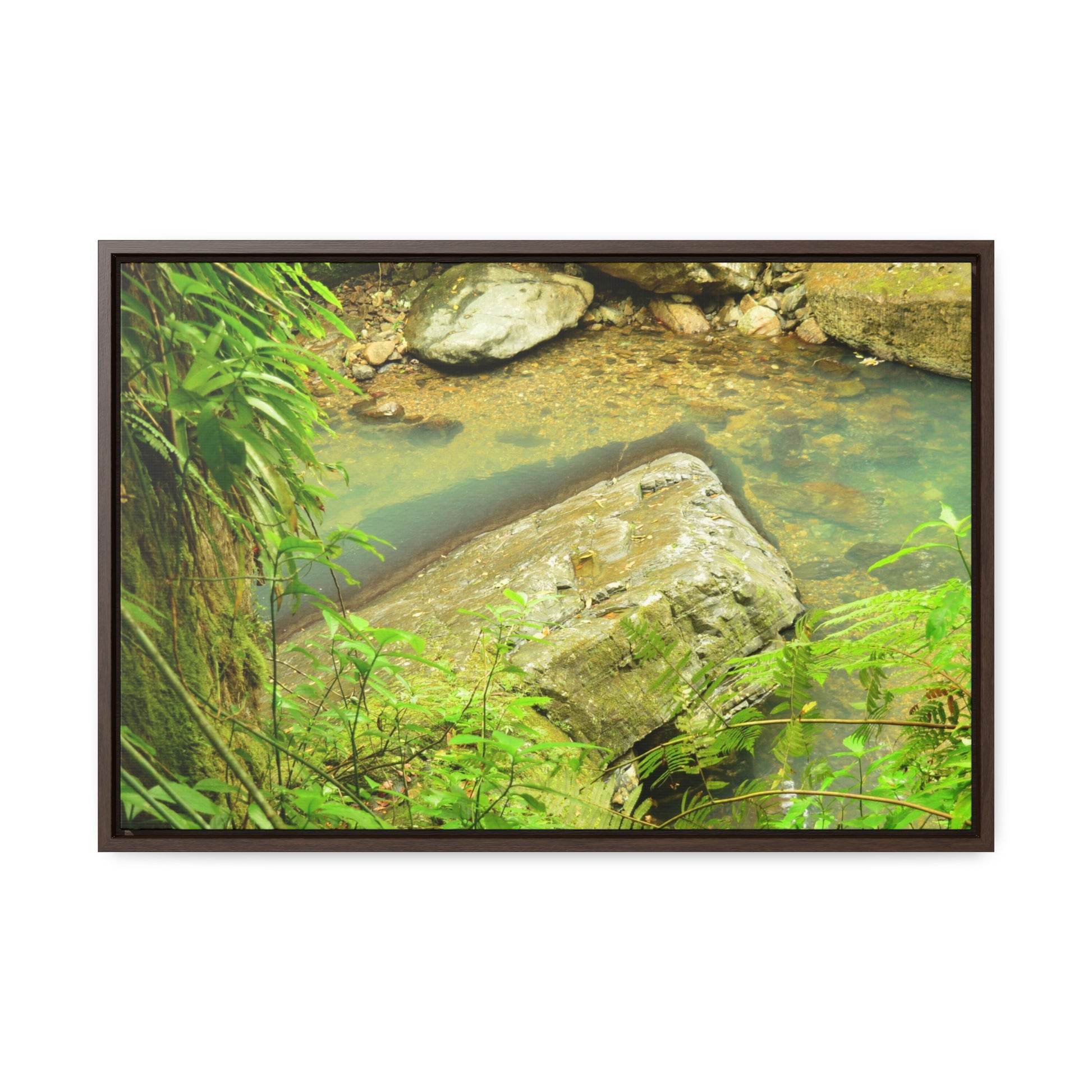 Rainforest Trails & Views - Gallery Canvas Wraps, Horizontal Frame - El Yunque National Forest - Puerto Rico - La Mina River & Trail - huge boulder - Green Forest Home