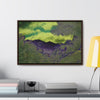 Rainforest Trails & Views - Gallery Canvas Wraps, Horizontal Frame - El Yunque National Forest - Puerto Rico - Mt Britton road view of Mt Britton - color enhanced - Green Forest Home