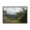 Rainforest Trails & Views - Gallery Canvas Wraps, Horizontal Frame - El Yunque National Forest - Puerto Rico - Closed PR191 forested road - Green Forest Home