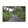 Rainforest Trails & Views - Gallery Canvas Wraps, Horizontal Frame - El Yunque National Forest - Puerto Rico - View from PR191 closed forest road - Green Forest Home