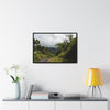 Rainforest Trails & Views - Gallery Canvas Wraps, Horizontal Frame - El Yunque National Forest - Puerto Rico - Closed PR191 forested road - Green Forest Home