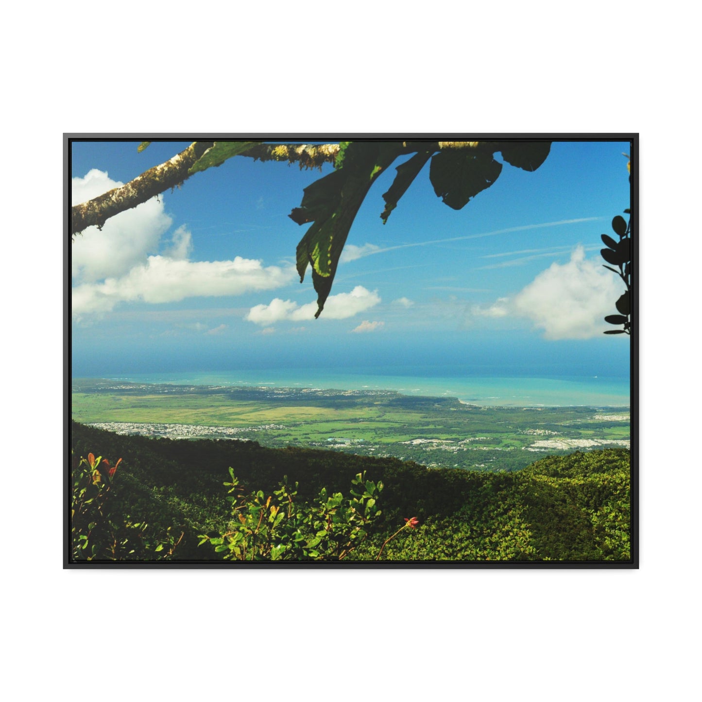 Rainforest Trails & Views - Gallery Canvas Wraps, Horizontal Frame - El Yunque National Forest - Puerto Rico - View from Tres Picachos - El Yunque Trail - Green Forest Home