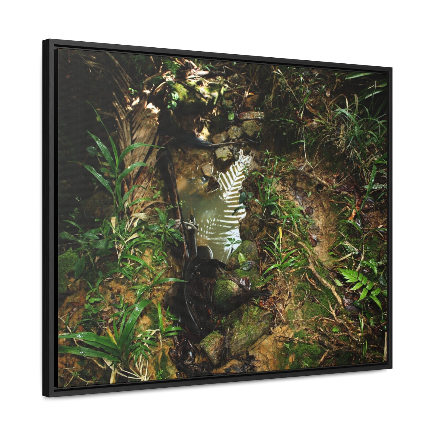 Rainforest Trails & Views - Gallery Canvas Wraps, Horizontal Frame - El Yunque National Forest - Puerto Rico - Tradewinds where streams begin - Green Forest Home