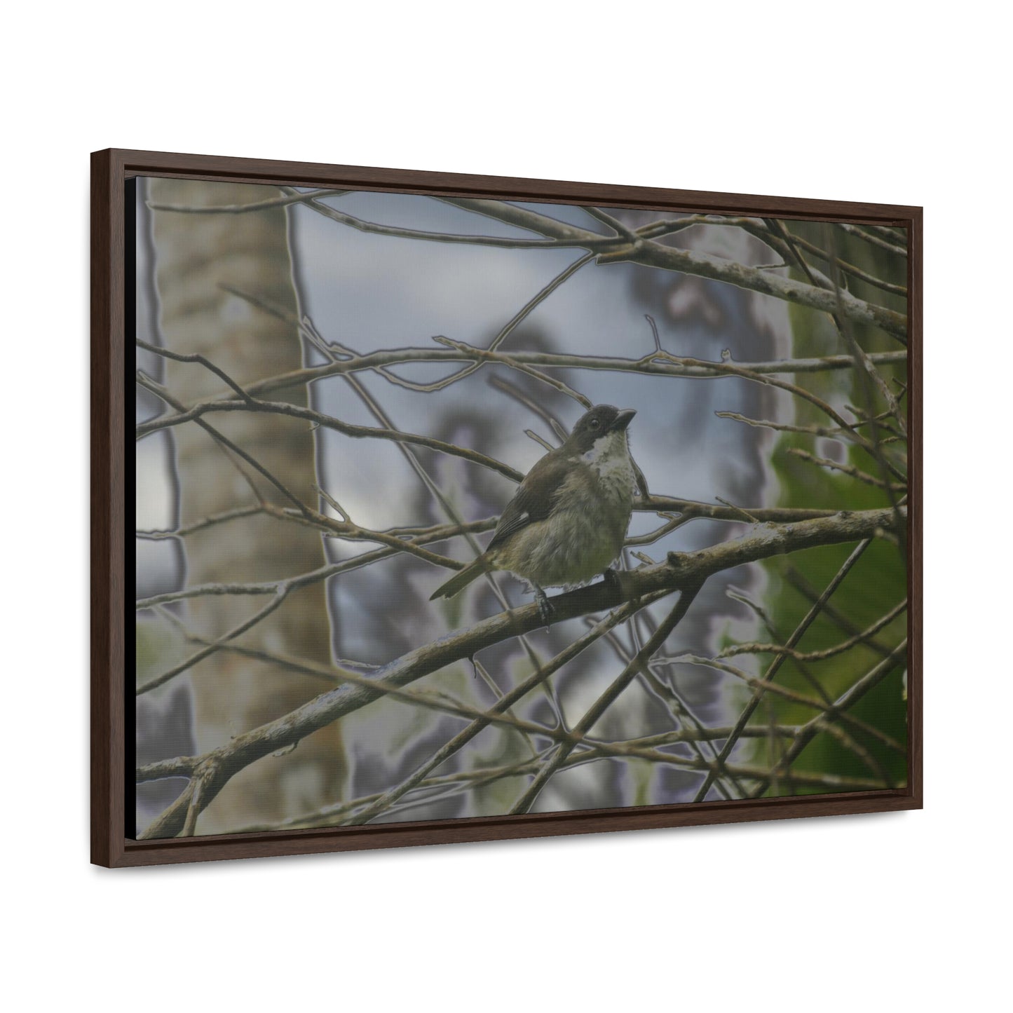 Rainforest Trails & Views - Gallery Canvas Wraps, Horizontal Frame - El Yunque National Forest - Puerto Rico - Color enhanced bird in Rio Sabana trail - Green Forest Home