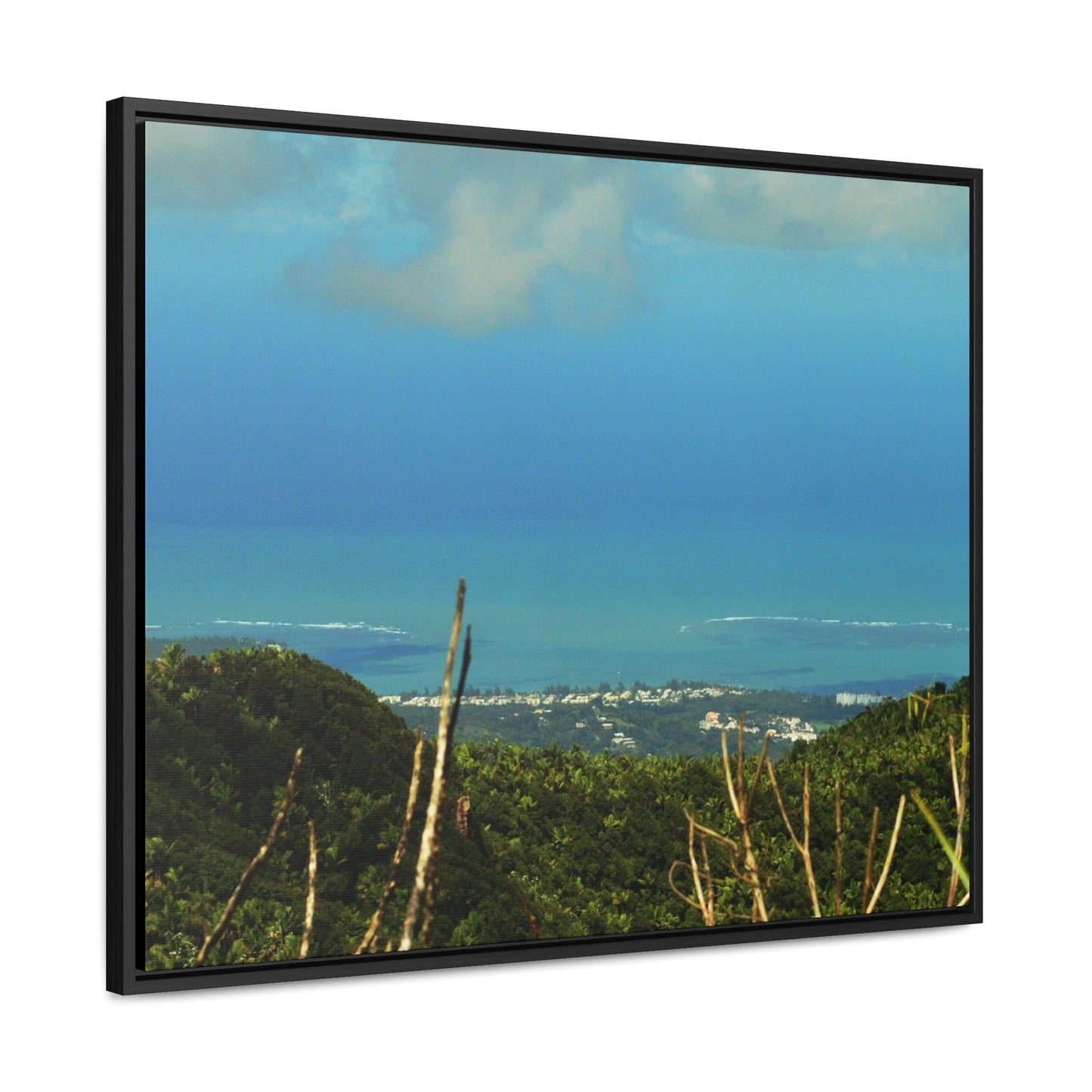 Rainforest Trails & Views - Gallery Canvas Wraps, Horizontal Frame - El Yunque National Forest - PR - Urbanization gets closer - view from Tres Picachos - Green Forest Home