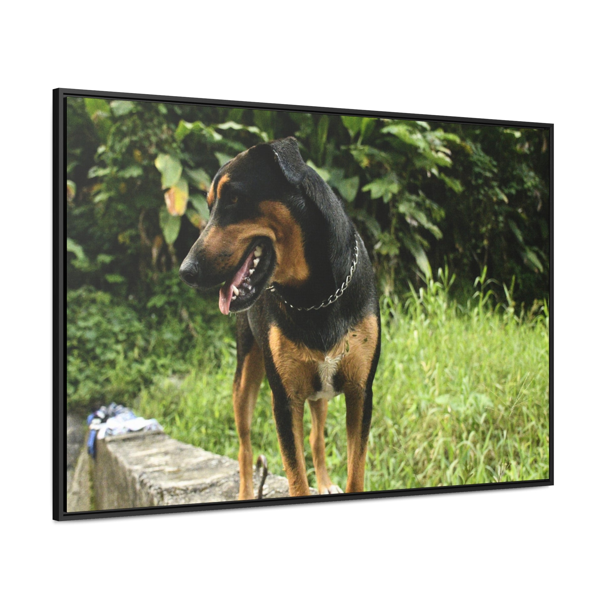 Rainforest Trails & Views - Gallery Canvas Wraps, Horizontal Frame - El Yunque National Forest - Puerto Rico - Rio Sabana Cubuy River - Firo the dog explorer - Green Forest Home