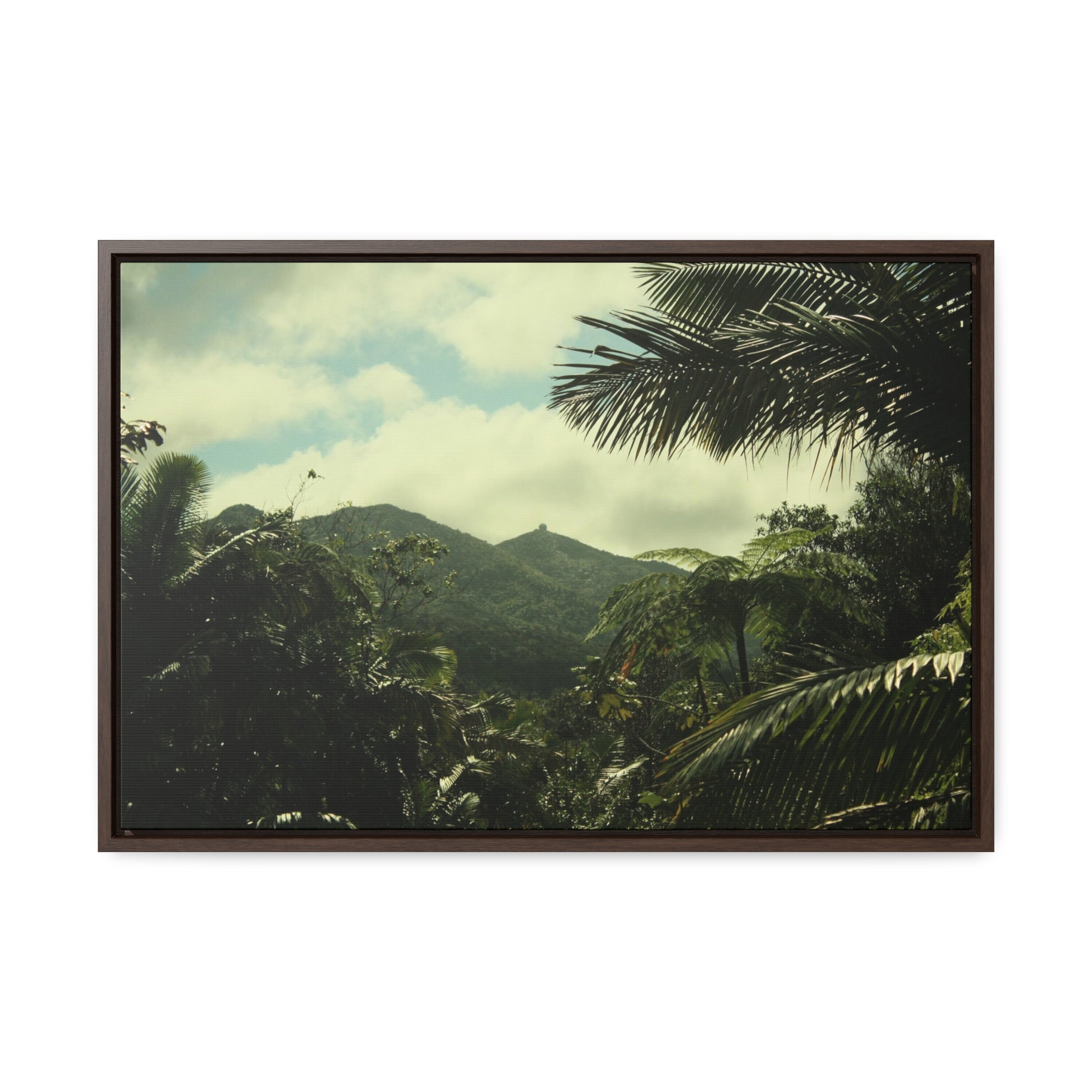 Rainforest Trails & Views - Gallery Canvas Wraps, Horizontal Frame - El Yunque National Forest - Puerto Rico - View of East Peak radars from closed road PR 191 - Green Forest Home