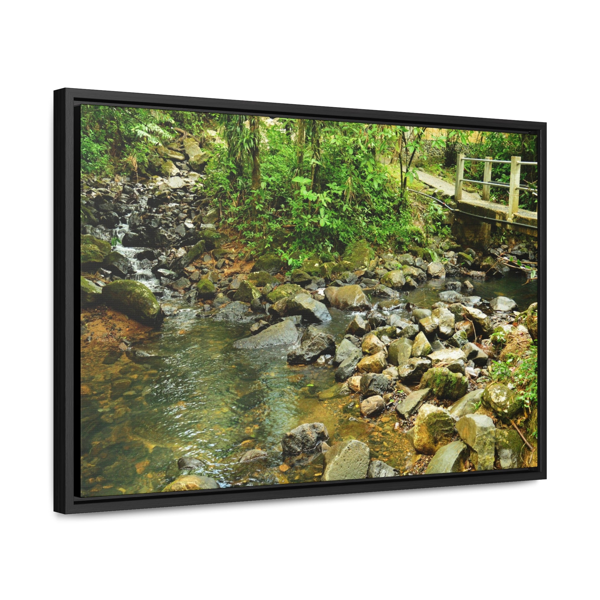 Rainforest Trails & Views - Gallery Canvas Wraps, Horizontal Frame - El Yunque National Forest - Puerto Rico - The Famous La Mina Trail & River - Green Forest Home