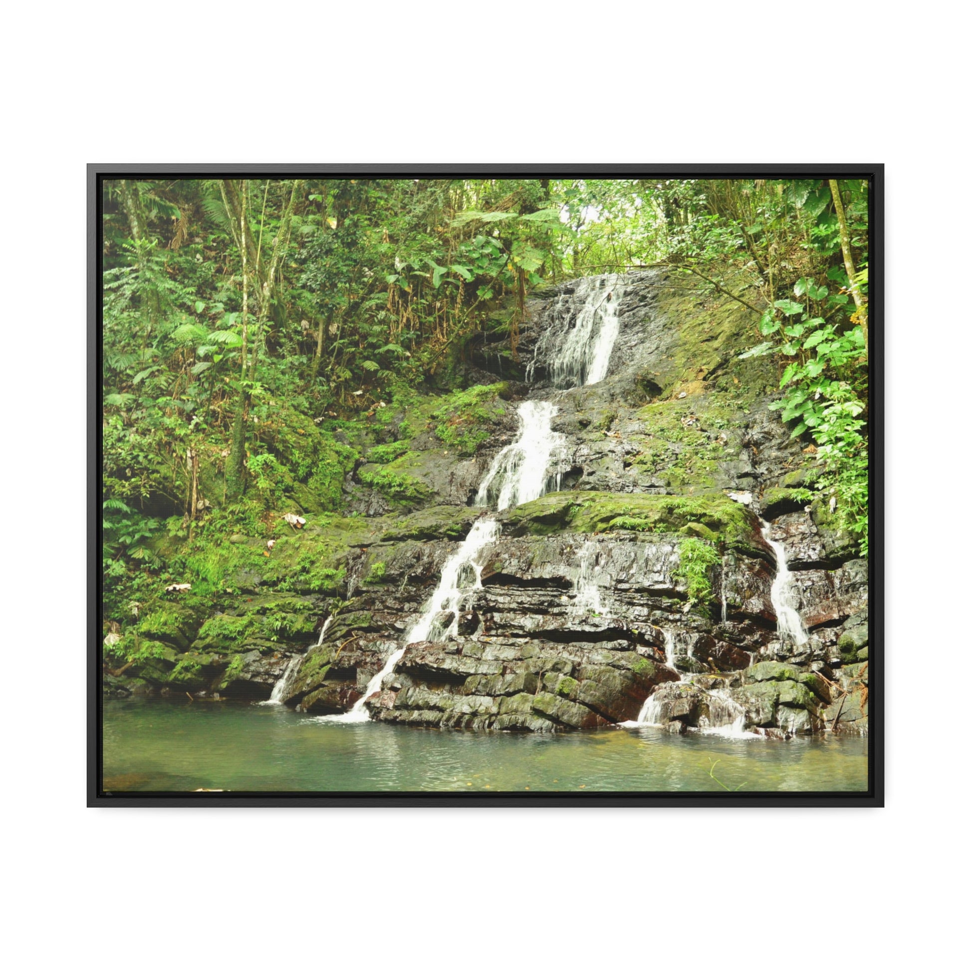 Rainforest Trails & Views - Gallery Canvas Wraps, Horizontal Frame - El Yunque National Forest - Puerto Rico - View from La Coca Trail - Green Forest Home