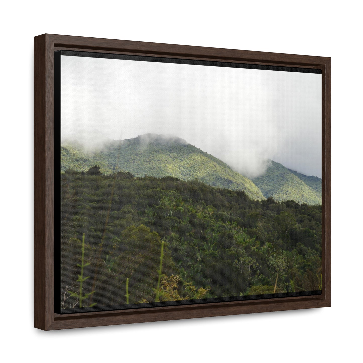 Rainforest Trails & Views - Gallery Canvas Wraps, Horizontal Frame - El Yunque National Forest - Puerto Rico - View from Closed PR191 road - Green Forest Home